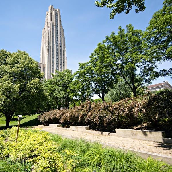 Cathedral in the spring