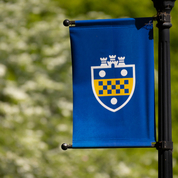 Pitt logo on banner