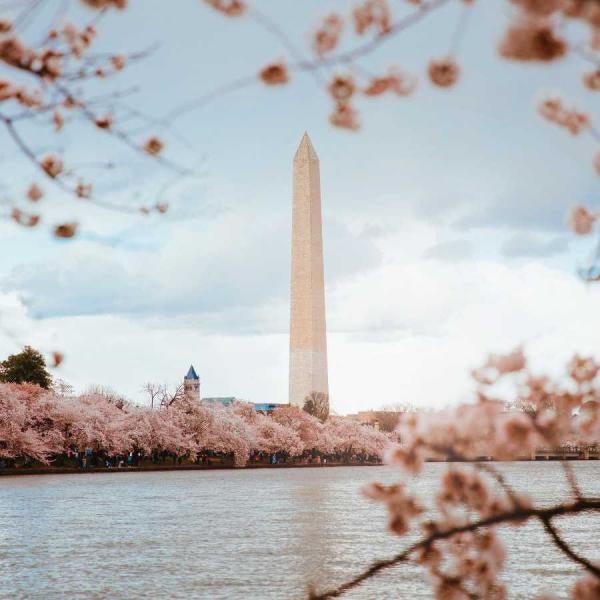 Washington Monument in Reflection Pool